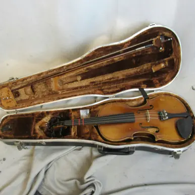 Used Pfretzschner MODEL 107 1966 Violas Violas Price Cut