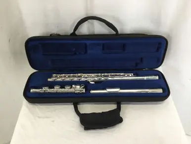 Used DI ZHAO DZ-300 Student Flute Direct From Manufacturer