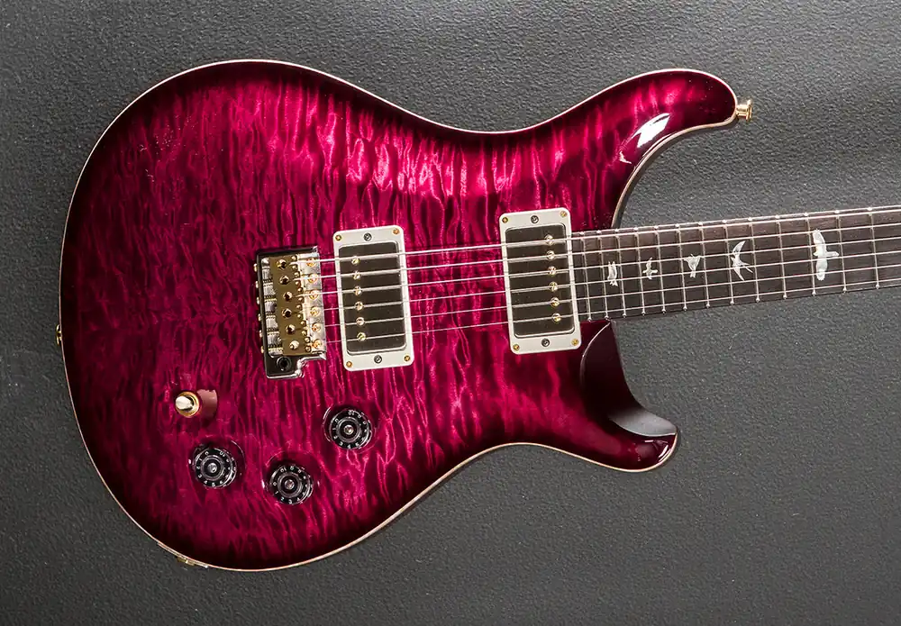 Budget DGT (David Grissom Trem) Wood Library Limited - Angry Larry w/Brazilia– Dave's Guitar Shop