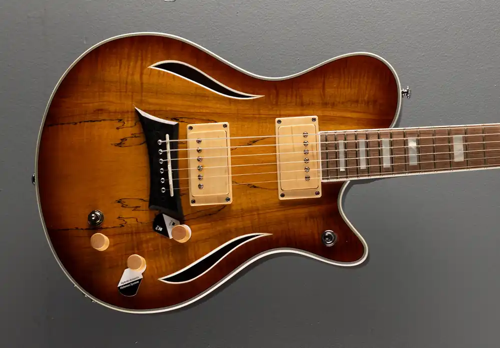 Super Sale Hybrid Special - Spalted Maple Burst– Dave's Guitar Shop