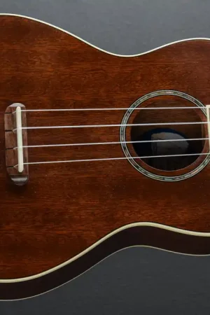 Zuma Concert Ukulele - Natural– Dave's Guitar Shop Top Rated