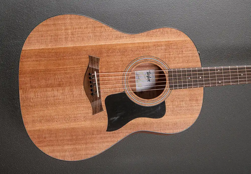Worldwide Shipping 117E– Dave's Guitar Shop