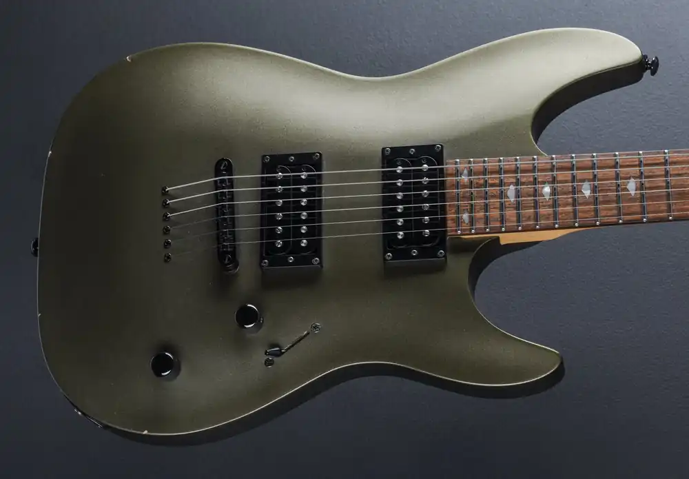 LE200GMS, Recent– Dave's Guitar Shop Flash Sale