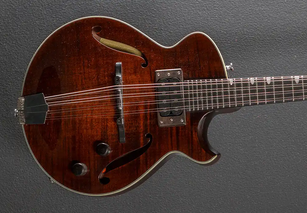 ER-M EL Rey Mandolin '23– Dave's Guitar Shop Free Returns
