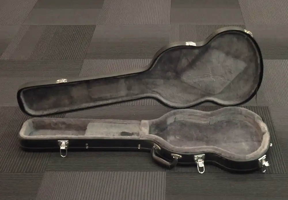 Free Shipping SG Case, Recent– Dave's Guitar Shop