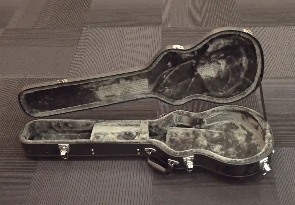 Les Paul Case, Recent– Dave's Guitar Shop Modern