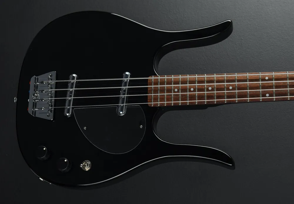 Longhorn Bass, Recent– Dave's Guitar Shop Discount