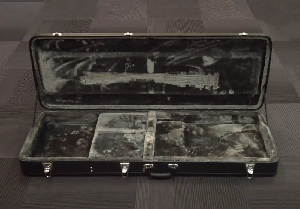 Flying V Case, Recent– Dave's Guitar Shop Worldwide Shipping