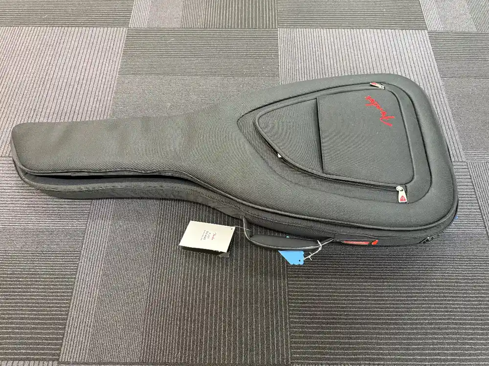 Genuine Acoustasonic Gigbag, Recent– Dave's Guitar Shop