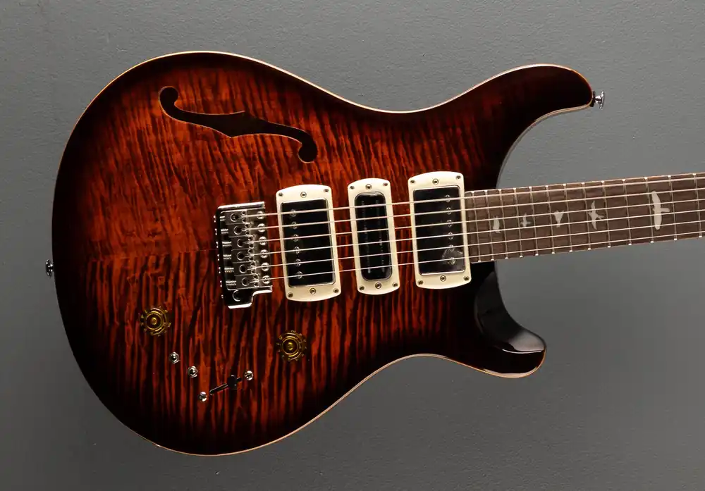 Trusted Brand SE Special Semi Hollow, '25– Dave's Guitar Shop