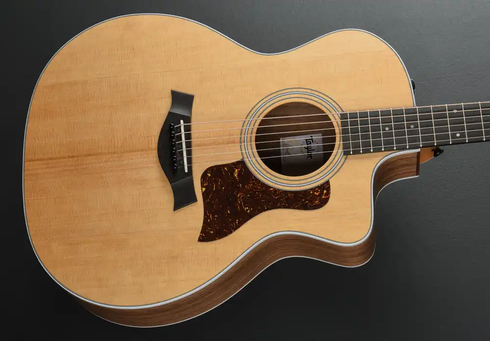 Special Discount 214CE Walnut '25– Dave's Guitar Shop