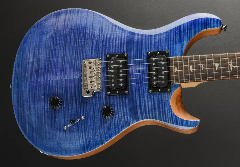 SE Custom 24 '22– Dave's Guitar Shop Top Rated