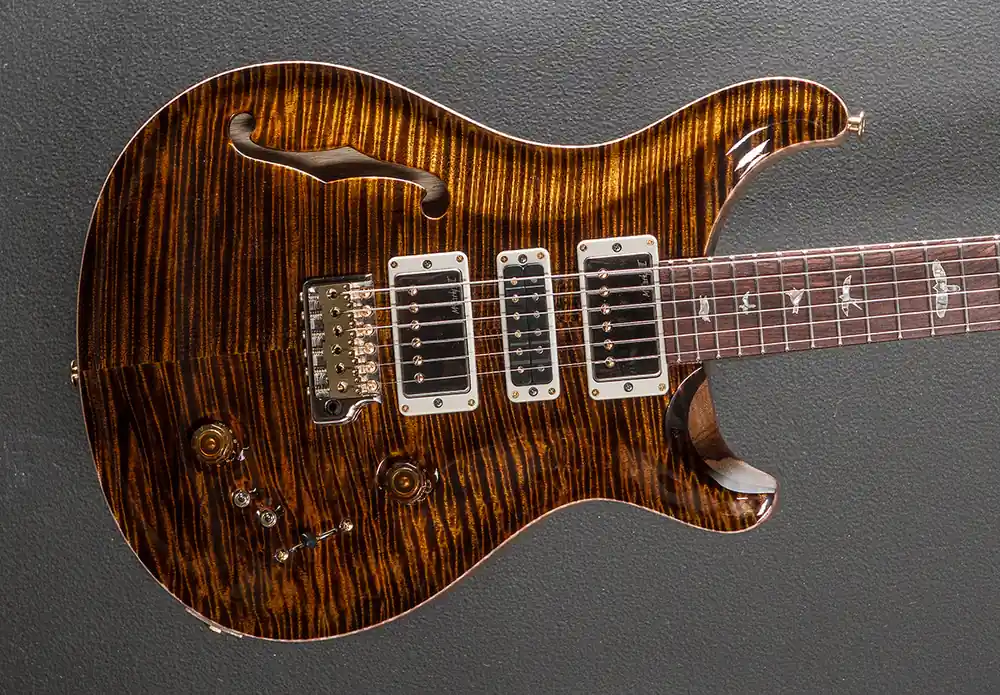 40th Anniversary Special Semi-Hollow Limited Edition - Yellow Tiger– Dave's Guitar Shop Original