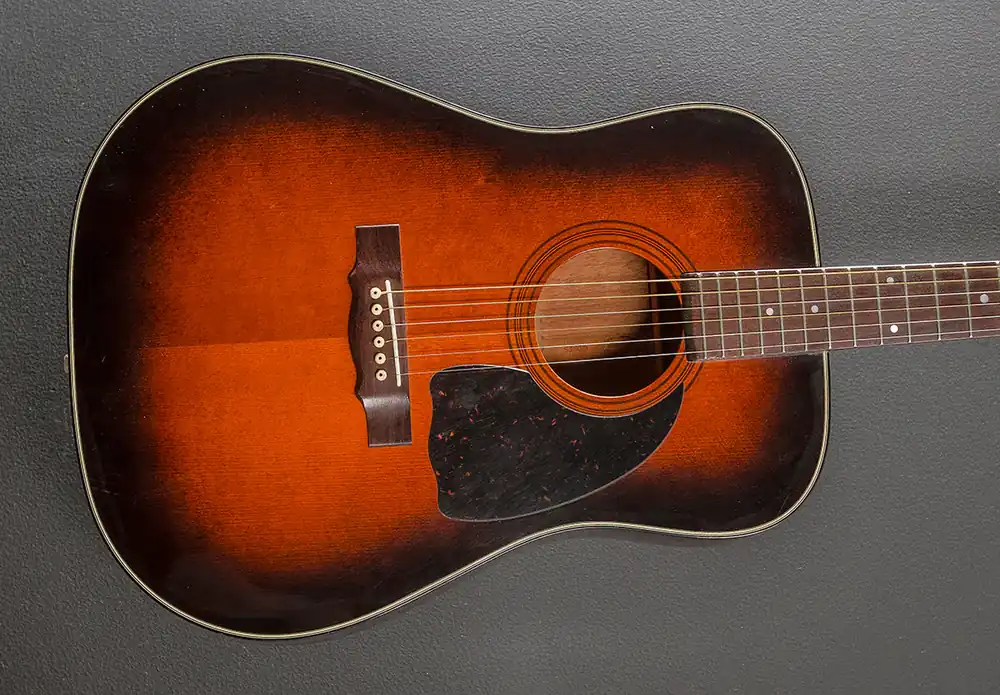Viral G-09TS, Late 1970's– Dave's Guitar Shop