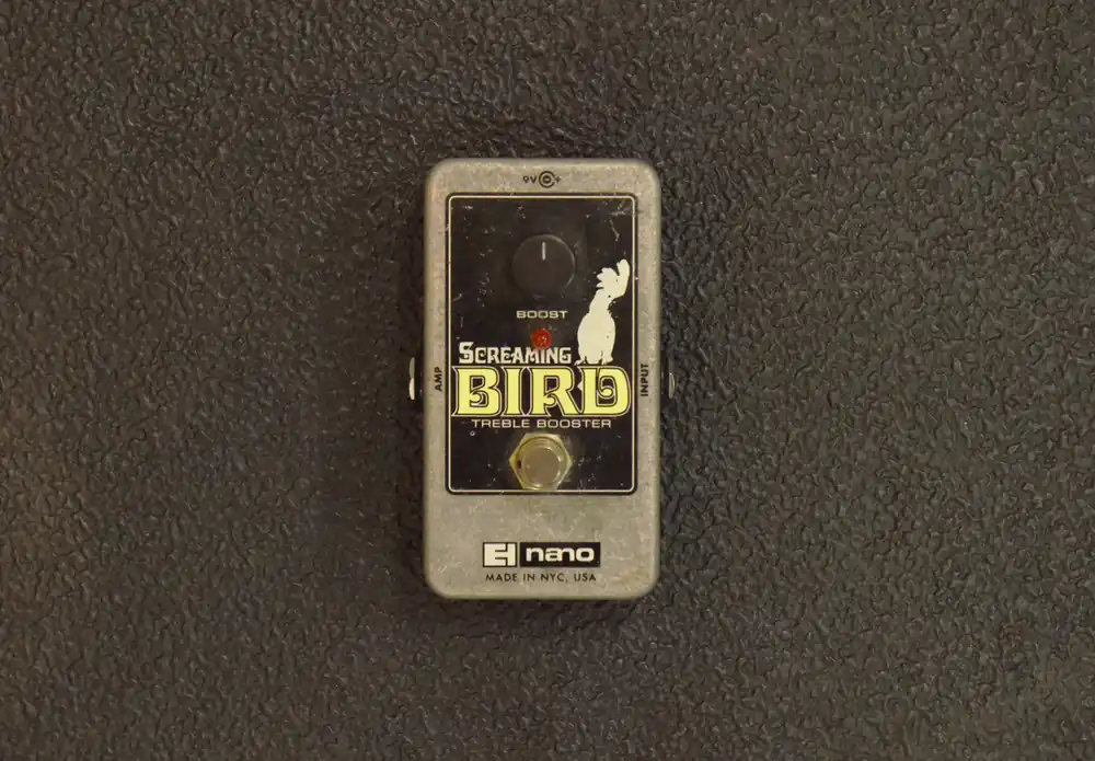Screaming Bird, Recent– Dave's Guitar Shop Top Rated
