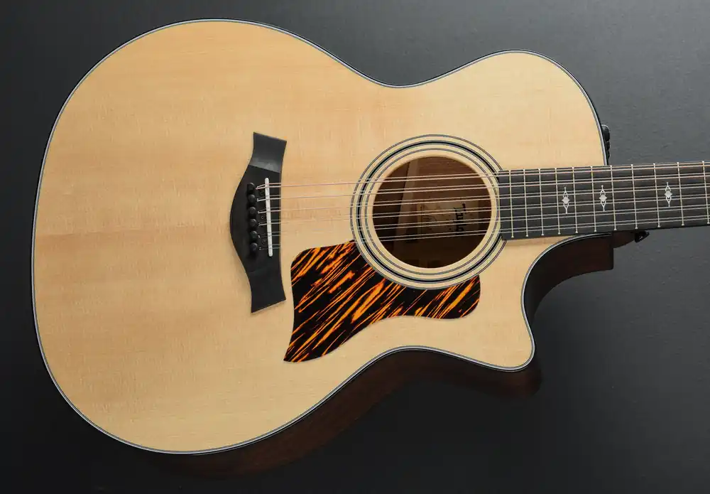 354CE 12 String– Dave's Guitar Shop Original