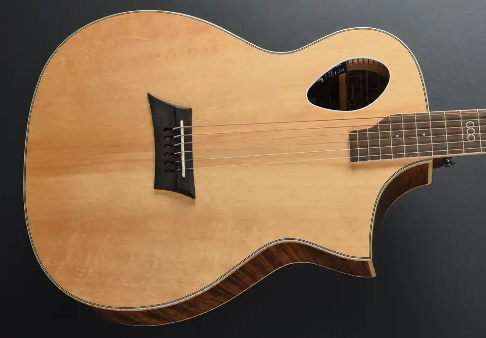 Triad Port– Dave's Guitar Shop Last Chance