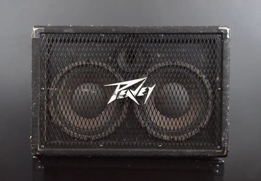 Grab Now 210 TVX 2x10 Bass Cab, Recent– Dave's Guitar Shop