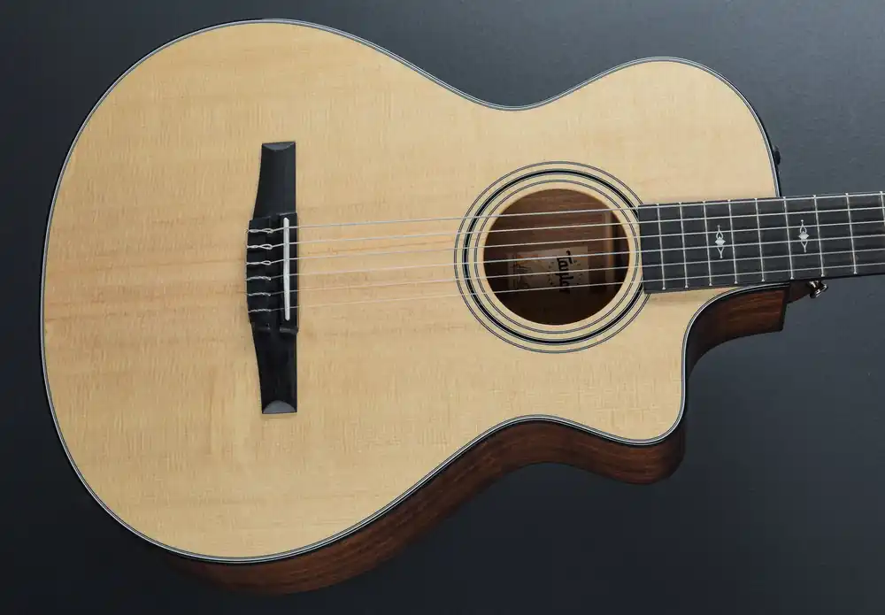 Popular 312CE-N '24– Dave's Guitar Shop