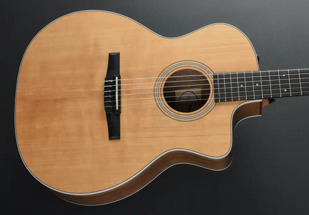 214CE-N Walnut '25– Dave's Guitar Shop Direct From Factory