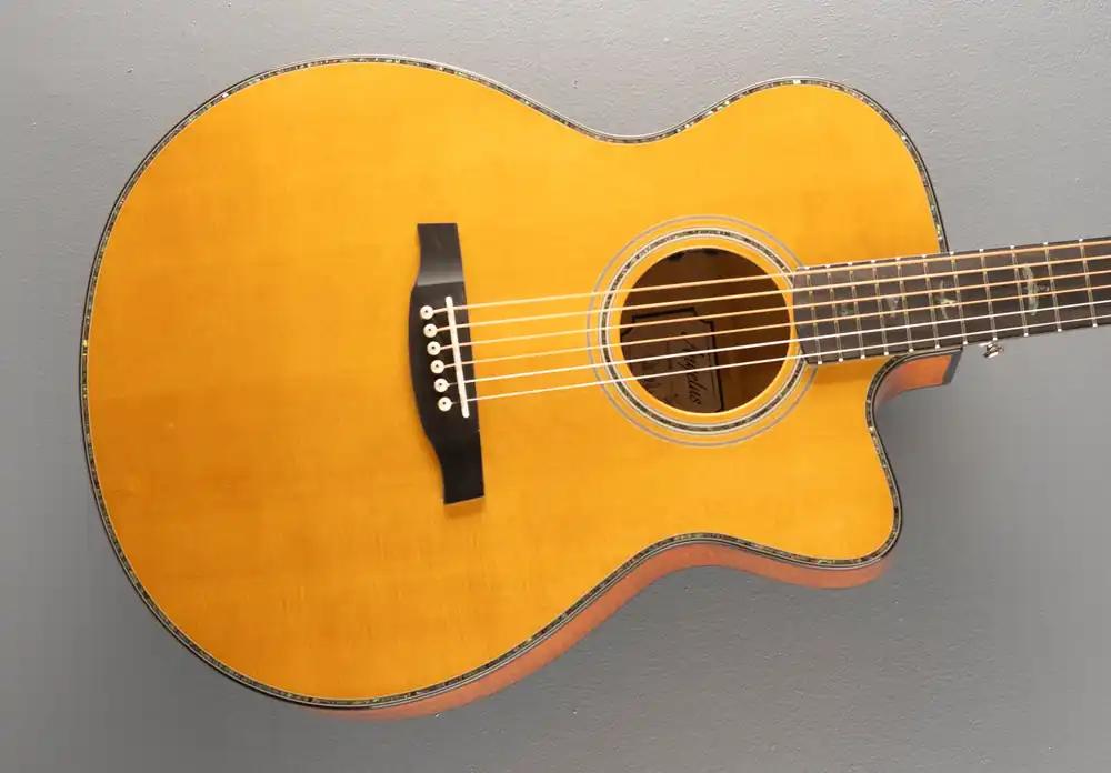 Budget SE Angelus A50E '24– Dave's Guitar Shop