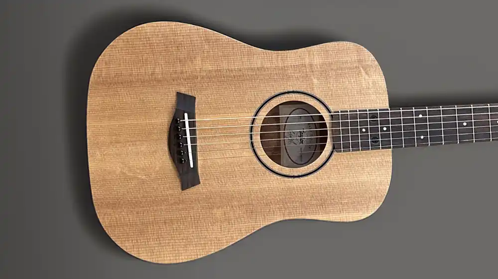 Baby Taylor (BT1)– Dave's Guitar Shop New Release
