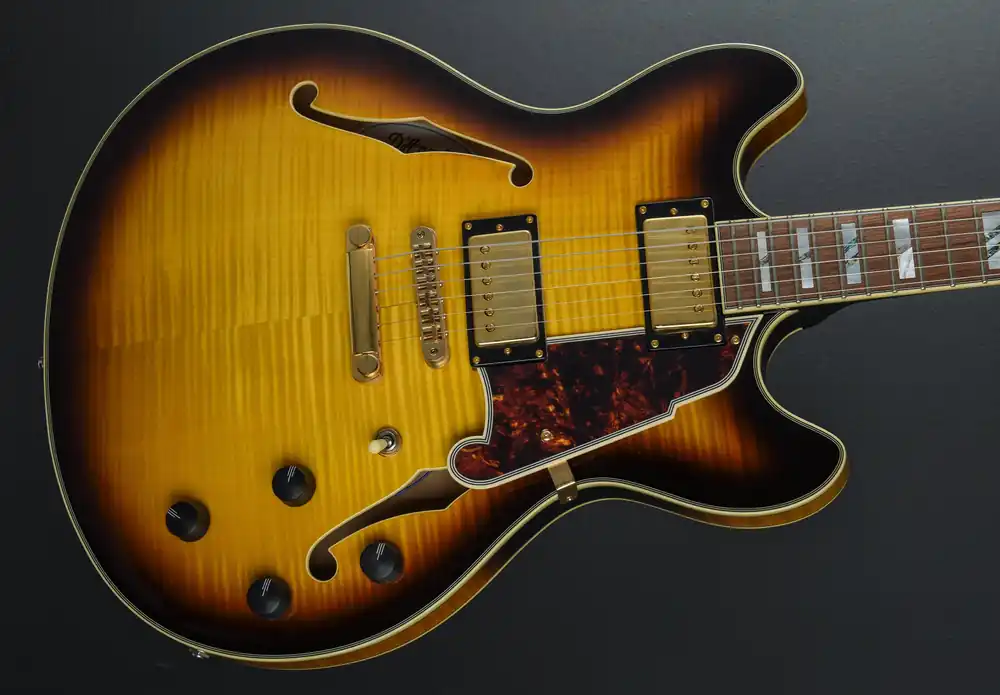 Excel Series - Double Cutaway Special 'Recent– Dave's Guitar Shop Fast Shipping