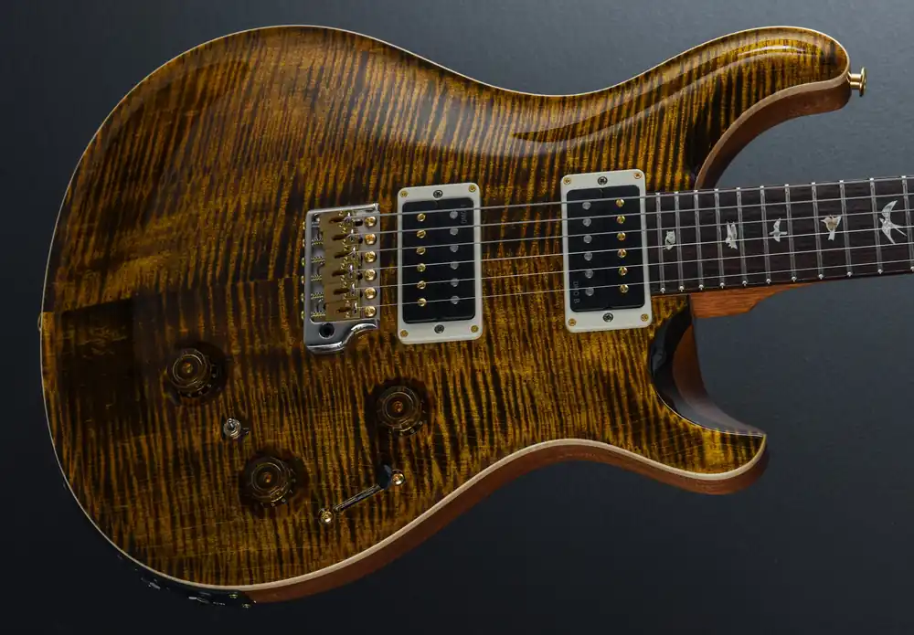 Weekend Sale Custom 24 Piezo 10 Top - Black Gold– Dave's Guitar Shop