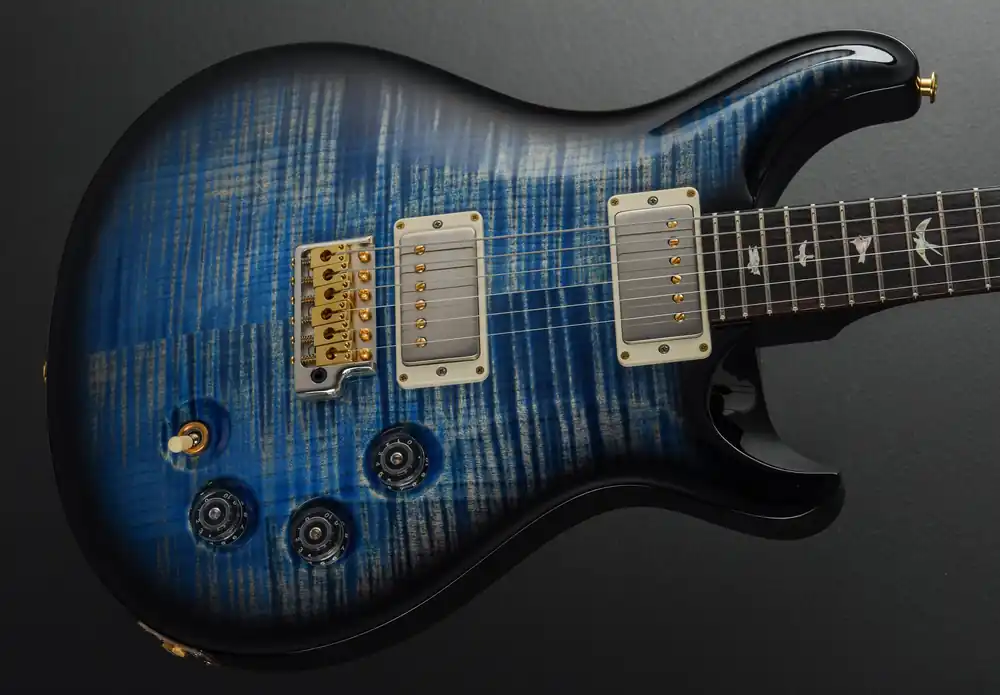 DGT (David Grissom Trem) 10 Top w/Birds - Blue Jean Wraparound Smoke B– Dave's Guitar Shop Free Delivery