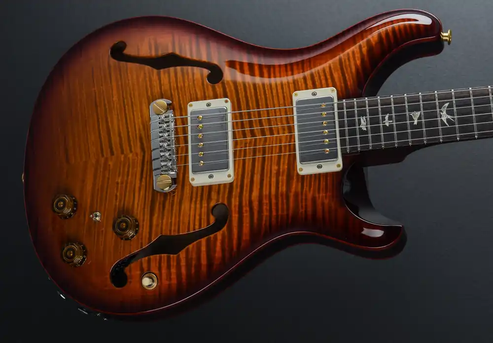 Hollowbody II Piezo 10 Top - Dark Cherry Burst– Dave's Guitar Shop Place Order